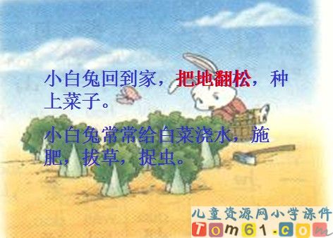 小白兔和小灰兔课件12