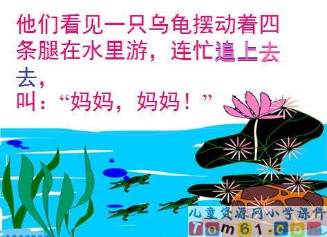 小蝌蚪找妈妈课件19