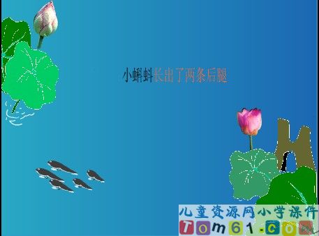 小蝌蚪找妈妈课件4