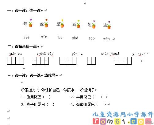 小壁虎借尾巴试卷1