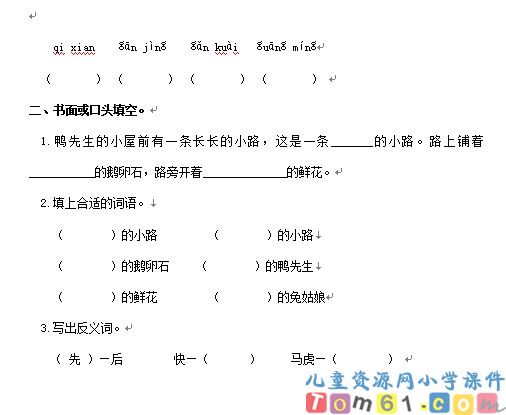 美丽的小路