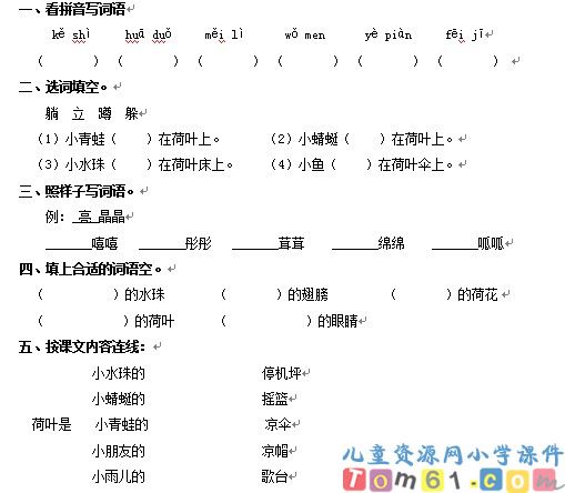 荷叶圆圆试卷2