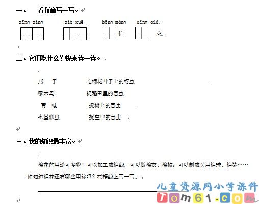 棉花姑娘试卷3