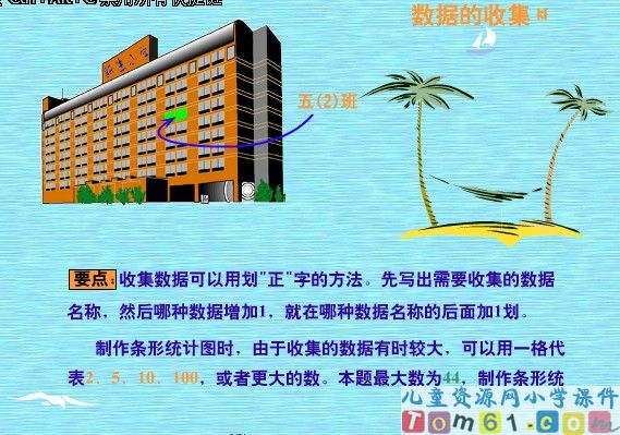 《数据的收集和整理》