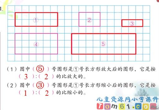 《图形的放大和缩小》