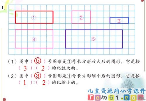 《图形的放大与缩小》