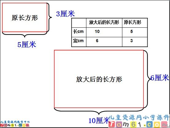 《图形的放大和缩小》