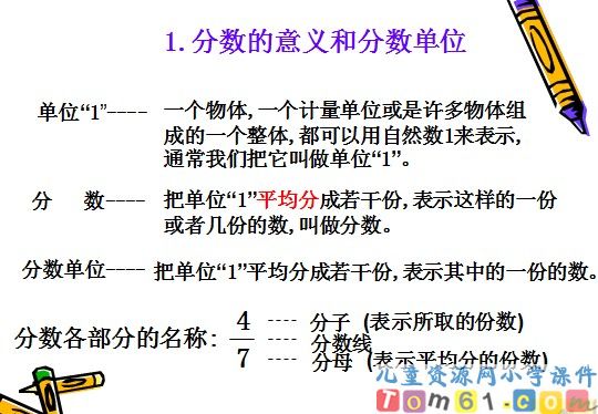 《分数和百分数的复习》