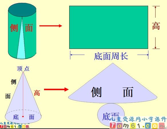 《圆柱和圆锥的整理与复习》