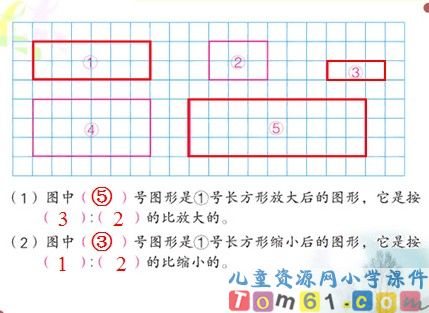 《图形的放大与缩小》