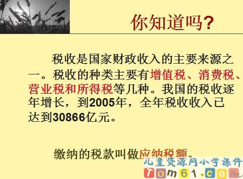 《纳税的实际问题》