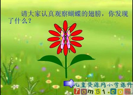 轴对称图形课件13
