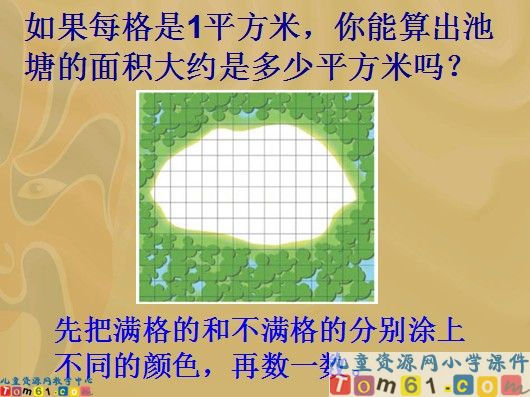 面积是多少课件