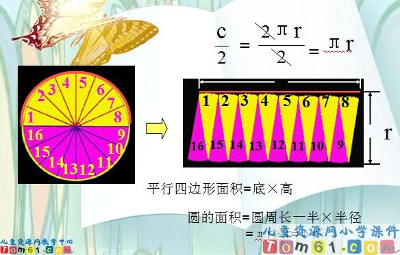 圆的面积课件6
