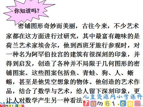奇妙的图形密铺课件2