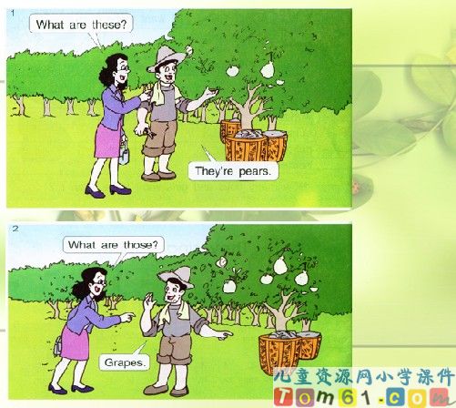 Unit4 buying fruit课件17