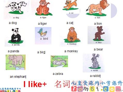 Unit4 Halloween课件2