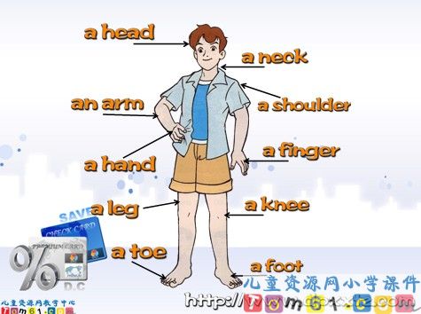 Unit6 A PE Lesson课件1