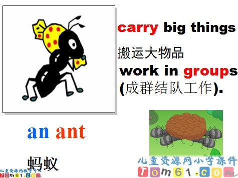 Unit8 at the weekends part1课件1