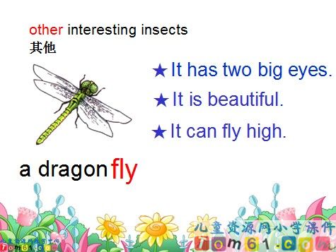 Unit8 At the weekends(BE部分)课件8