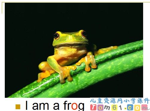 Unit 2 Small animals