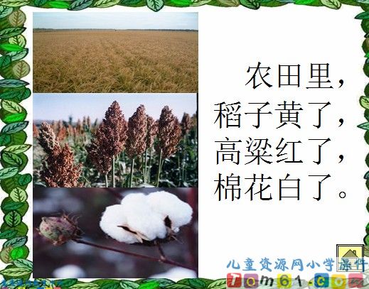 秋游
