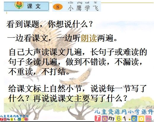 《小鹰学飞》