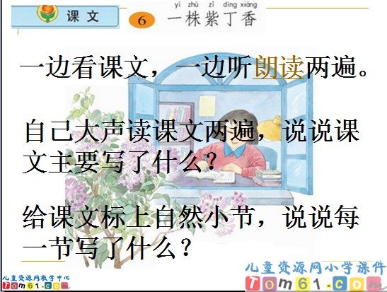 一株紫丁香