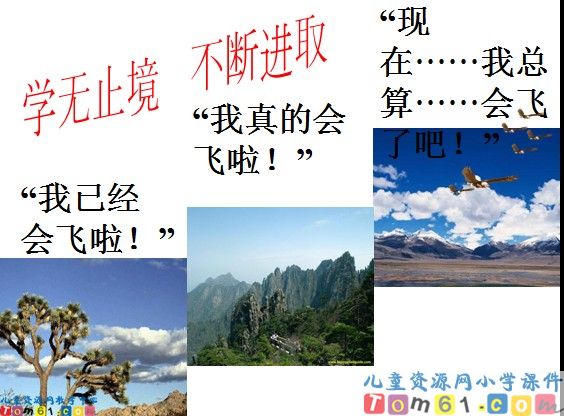 《小鹰学飞》