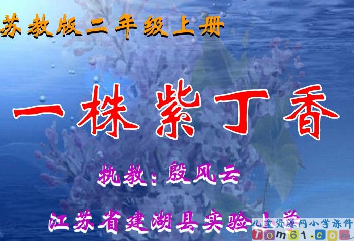 一株紫丁香