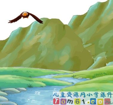 《青蛙看海》