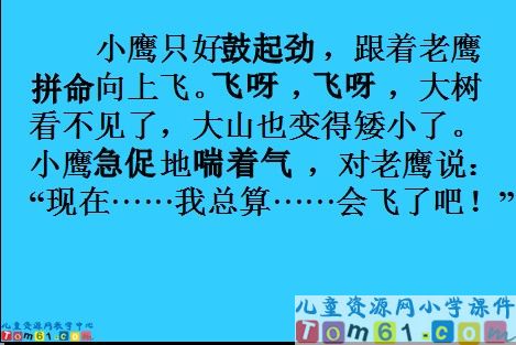 《小鹰学飞》