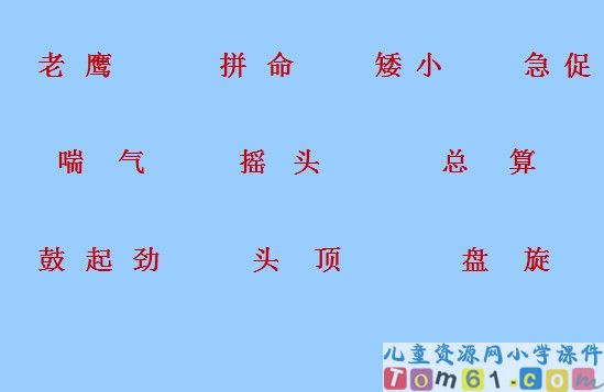 《小鹰学飞》