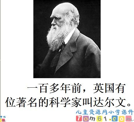 《有趣的发现》