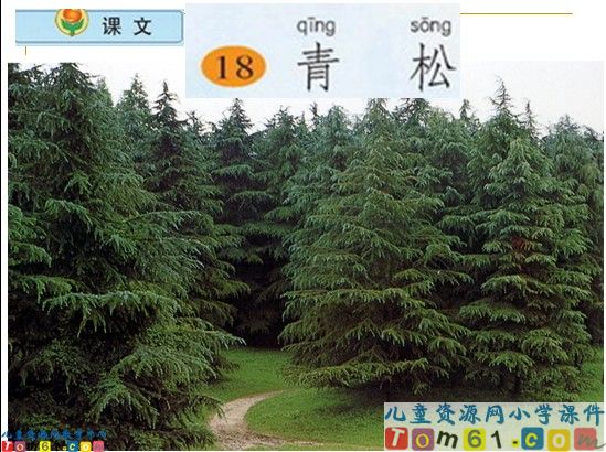 《青松》