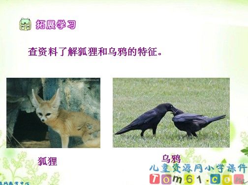 《狐狸和乌鸦》