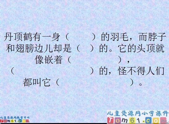 《美丽的丹顶鹤》