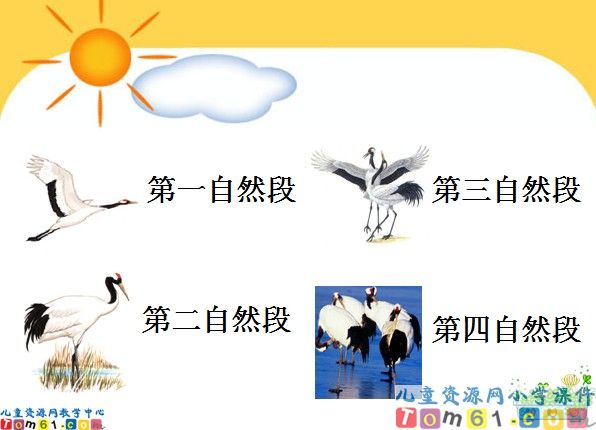 《美丽的丹顶鹤》