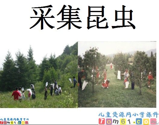 识字4