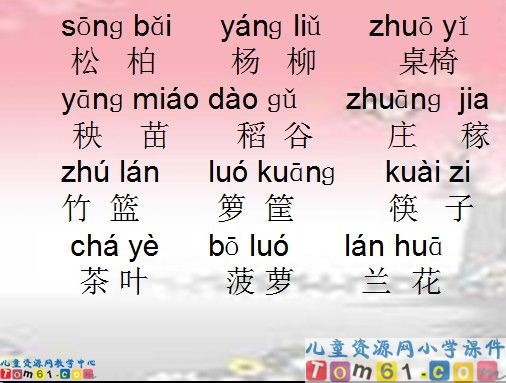 《识字3》