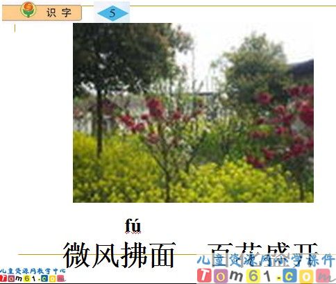 《识字5》