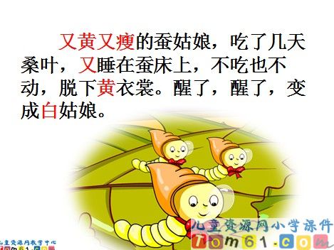 蚕姑娘课件11