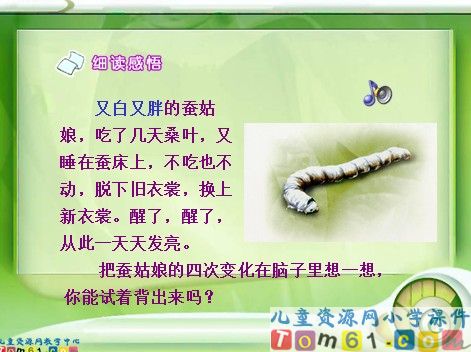 蚕姑娘课件7