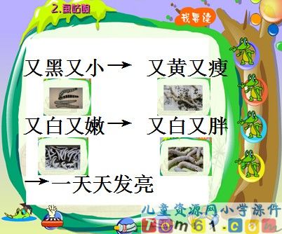 蚕姑娘课件6
