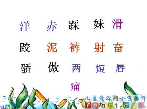 雨后课件6