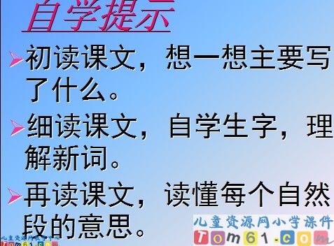 蜗牛的奖杯课件10