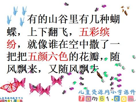 台湾的蝴蝶谷课件9