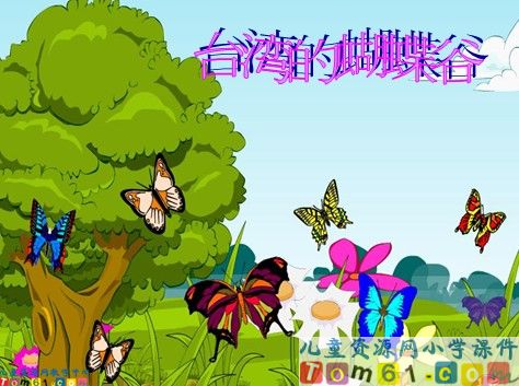 台湾的蝴蝶谷课件7