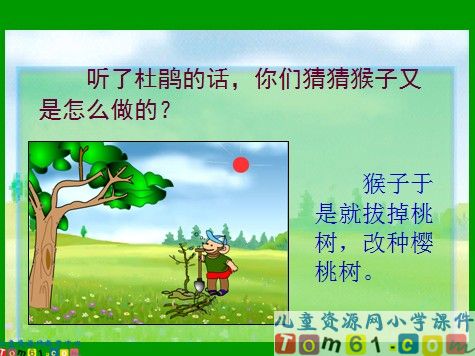 猴子种果树课件1