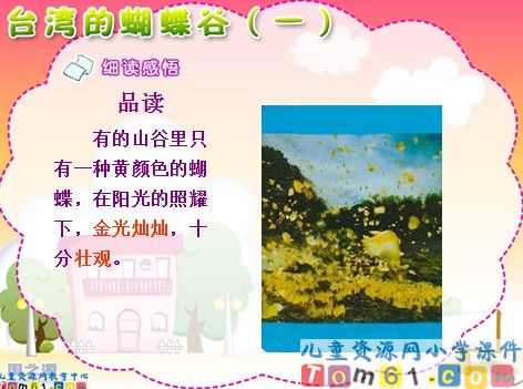 台湾的蝴蝶谷课件5